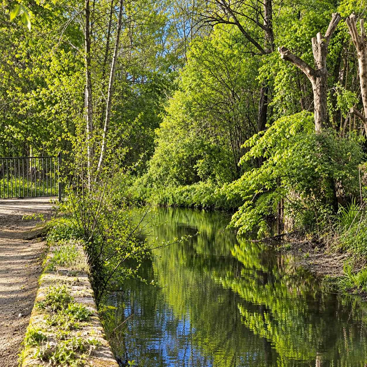 Chemin arboré longeant le cours d’eau dans le parc du Moulin de la Planche