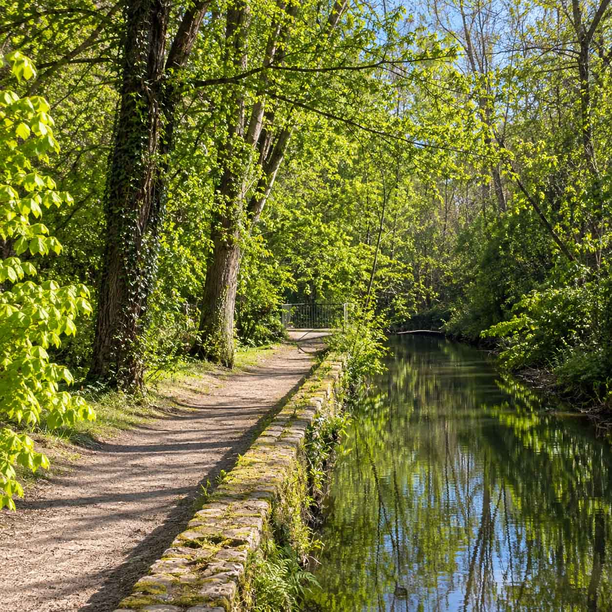 Allée piétonne longeant la rivière dans le parc du Moulin de la Planche